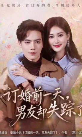 订婚前一天，男友却失踪了 短剧简介